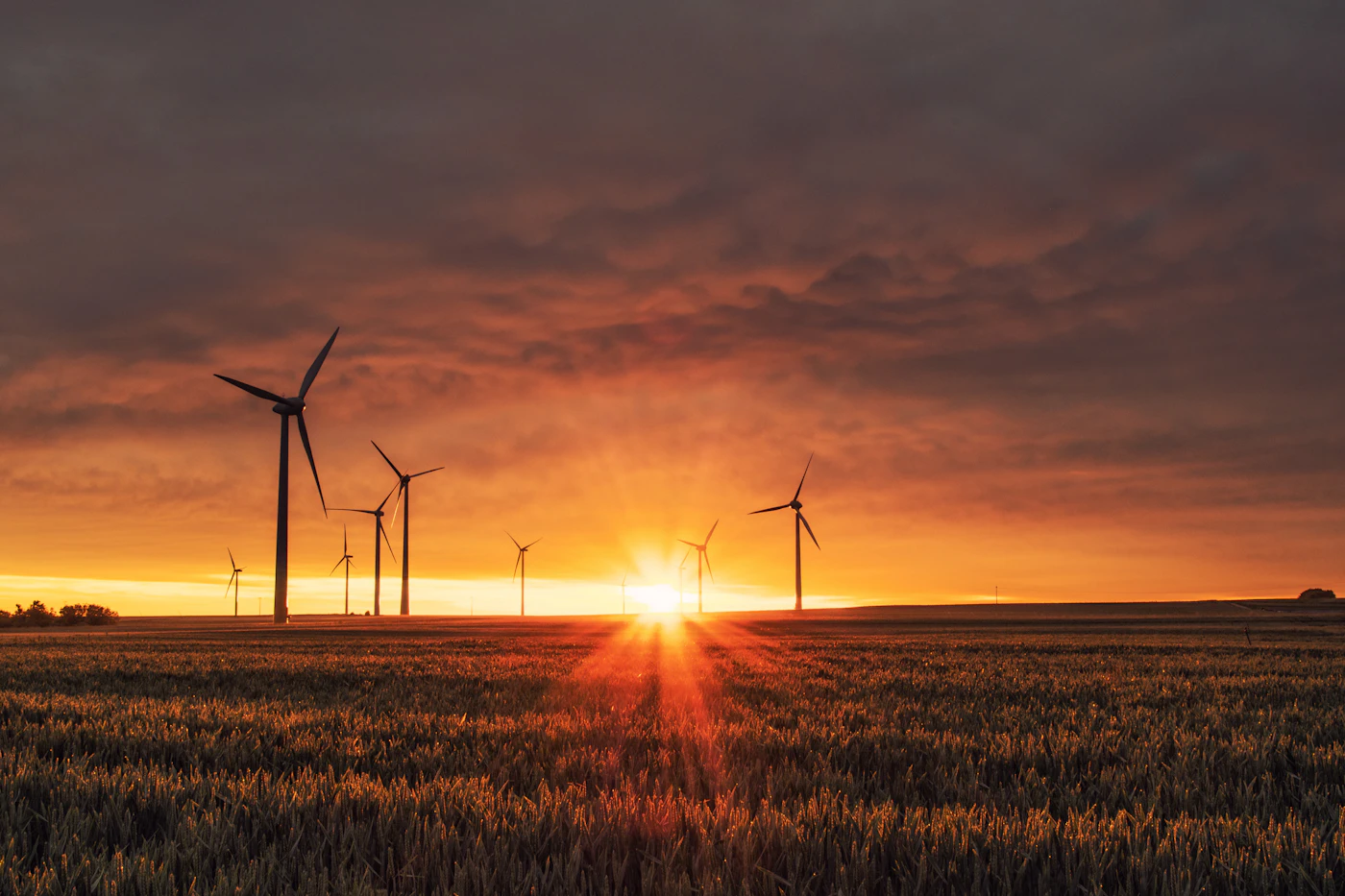 Wind turbines in a green field